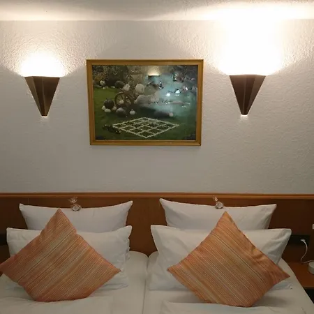 بيت ضيافة Fischer Massweiler